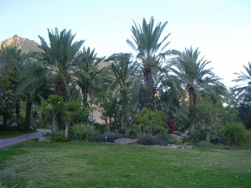 Ein Gedi Rooms Neve Zohar Kültér fotó