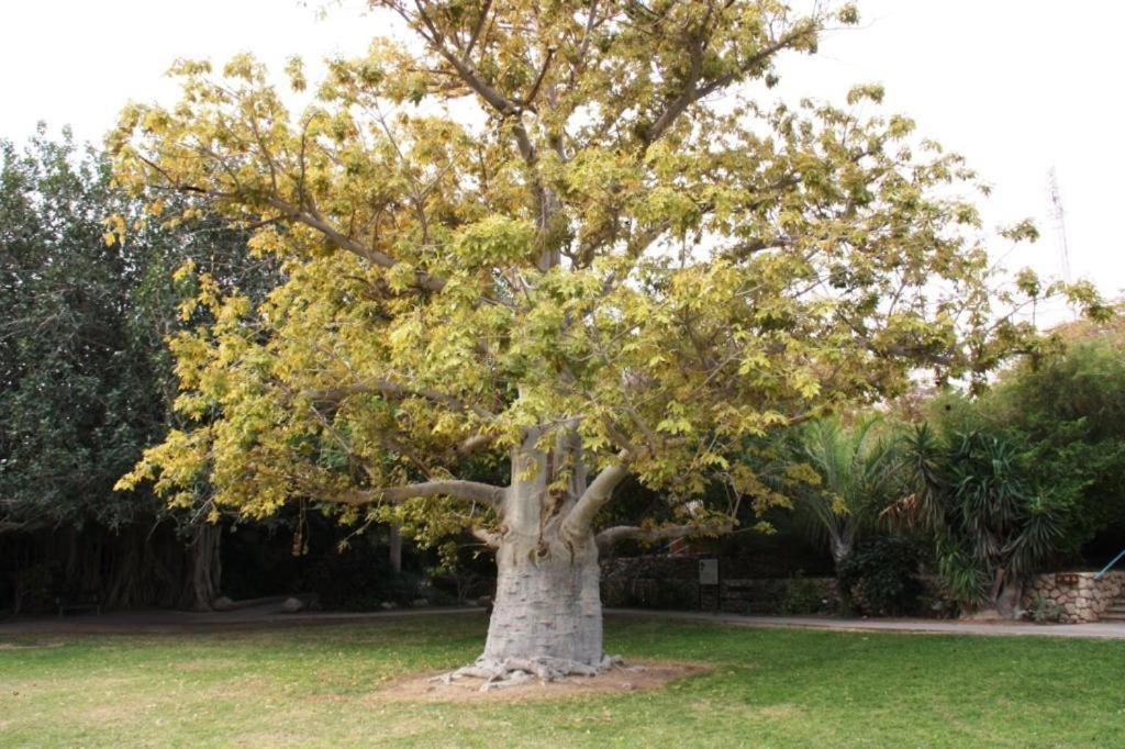 Ein Gedi Rooms Neve Zohar Kültér fotó