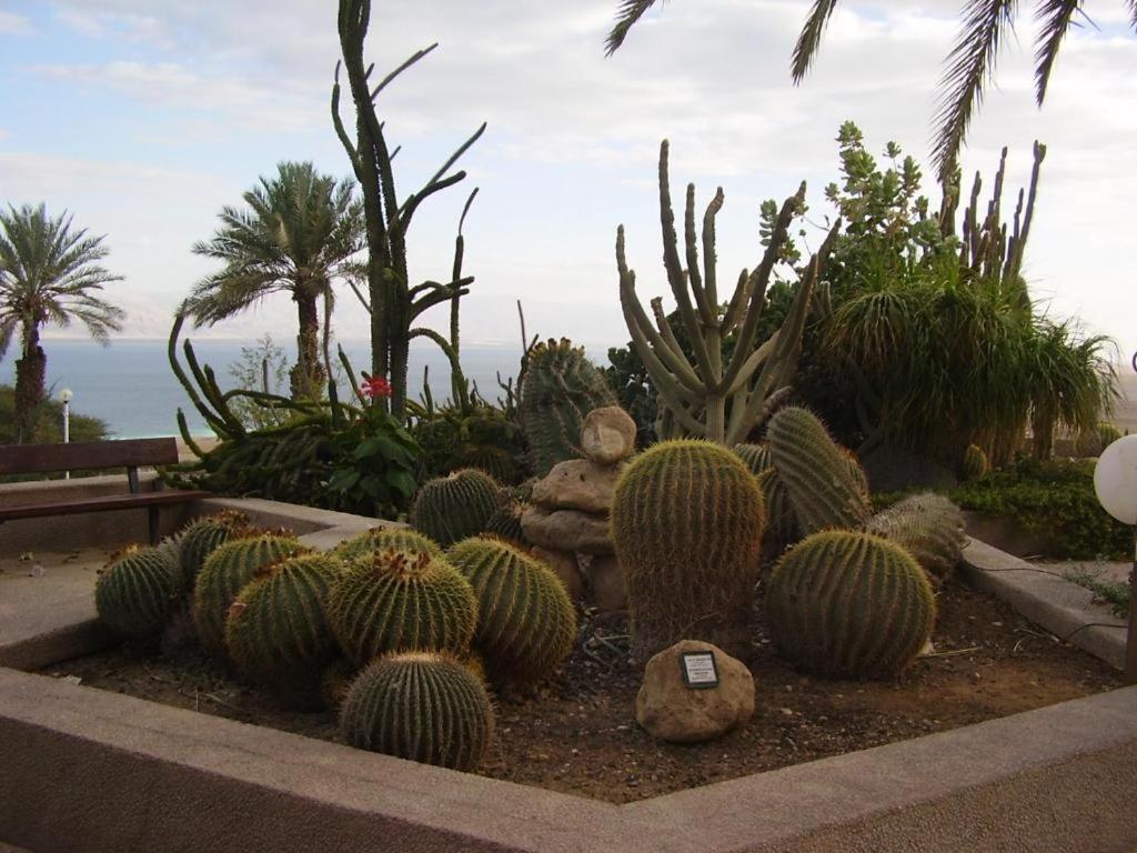 Ein Gedi Rooms Neve Zohar Kültér fotó